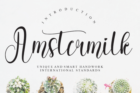 Amstermilk Typeface Review for Branding
