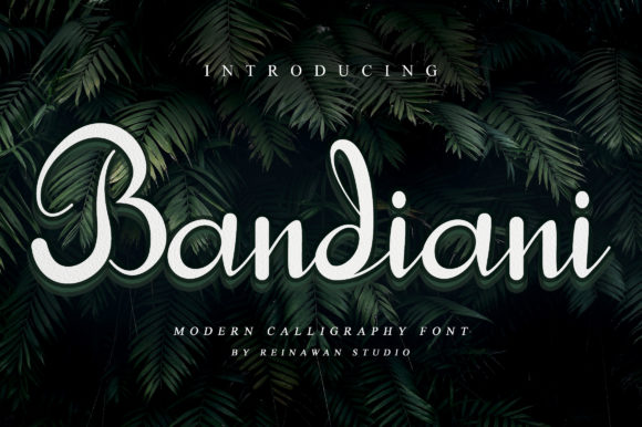 Bandiani Font: Elevating Web Design with Elegant Script