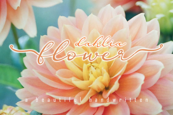 Dahlia Flower Typeface for Elegant Editorial Design