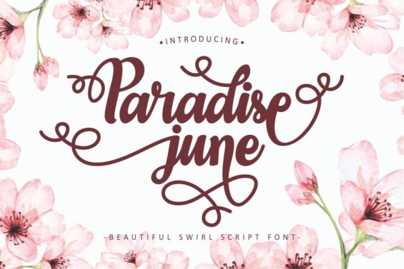 Paradise June Font for Elegant Handmade Branding