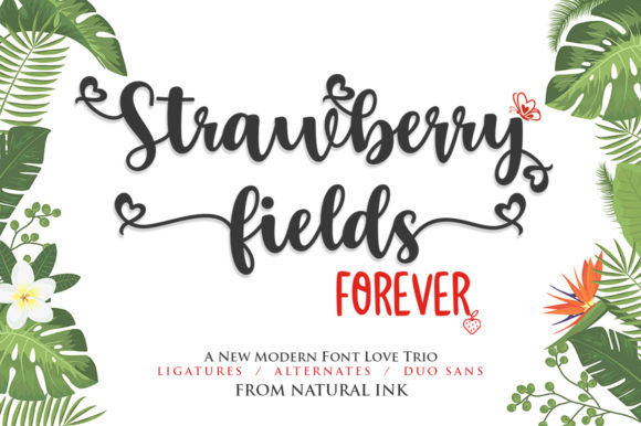 Strawberry Fields Forever: A Script Font for Branding